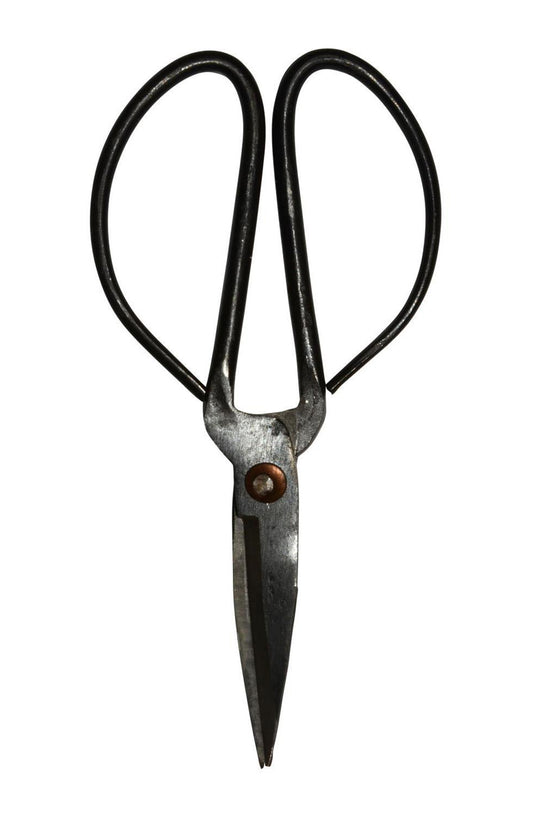 Schere Medium